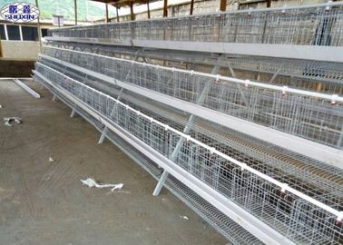 3-warstwowy klatka dla kurczaków / klatka dla drobiu Konstrukcja klatki hodowlanej, długa żywotność