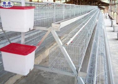 Komercyjne klatki dla drobiu Prosty demontaż dla hodowli drobiu w Afryce