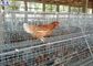 Duże klatki dla kurczaków drobiu, powierzchnia galwanizowana z klatkami z drobiu