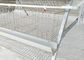 Animal Poutry Farm Equipment 120-warstwowa klatka dla kurczaka ocynkowana powierzchnia
