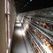Komercyjna automatyczna klatka warstwowa dla kurczaków dla sprzętu do hodowli drobiu