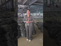 Pokaz warsztatowy niewidzialnej siatki drukowej