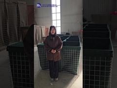 Różne modele demonstracji i wyjaśnień bariery obronnej