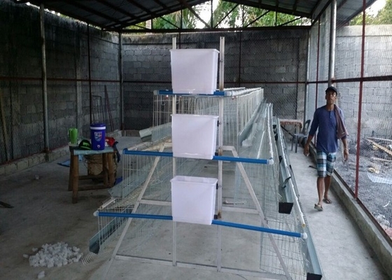 3 poziomy 4 pokoje 500-1000 ptaków Klatki do hodowli kurczaków dla gospodarstw filipińskich