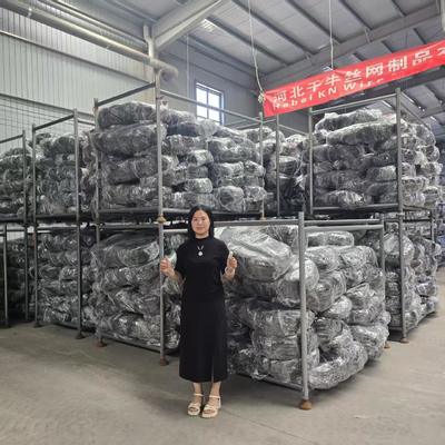 GOST Anti Tank Wire Mesh 0.5-0.9mm Steel Barrier for Drones Ukraine