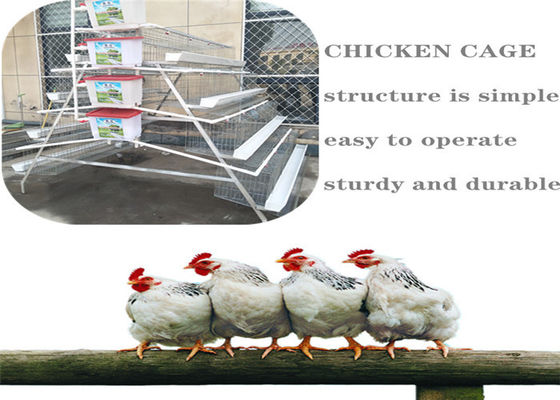 5-poziomowa klatka hodowlana Q235 dla kurczaków