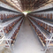 Farma drobiu 5-poziomowa klatka dla kurczaków 250 ptaków Bateria dla zwierząt
