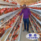 Warstwa baterii typu H Klatka dla kurczaków Automatyczne hodowle drobiu jajecznego