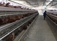 Jajka PVOC warstwa Klatki dla kurczaków dla 2000 ptaków Budowa gospodarstw drobiowych