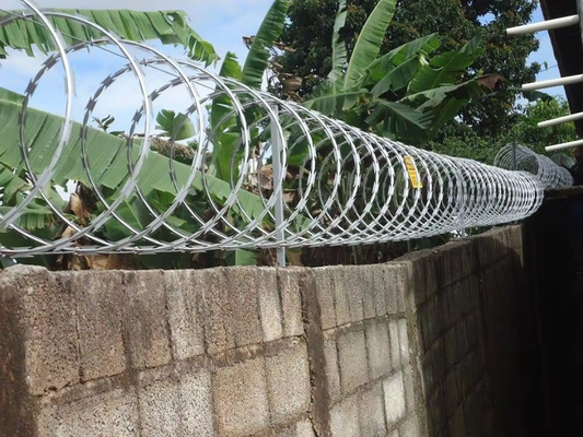 2024 KN Ochrona Ogrodu Żołędka Drut Kolczasty 2,5 mm W Kenii Południowa Afryka Zimbabwe