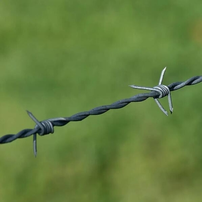 zgalwanizowany drut kolczasty zgalwanizowany drut kolczasty cena 250m na rolkę holenderska sieć metalowa bariera obudowa drut kolczasty tbar narzędzie rozciągające dla drutu kolczastego Certyfikat Ce