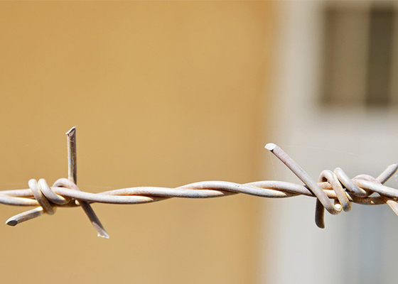Wykorzystanie ścian więziennych Węzły z drutu kolczastego galwanizowane