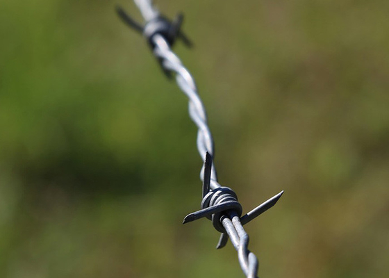 Wykorzystanie ścian więziennych Włókna kolczastego z pojedynczym prętem powlekanego PVC