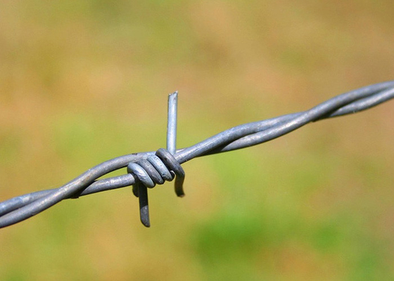Wykorzystanie ścian więziennych Jednoprzewodowy drut kolczasty ze stali nierdzewnej