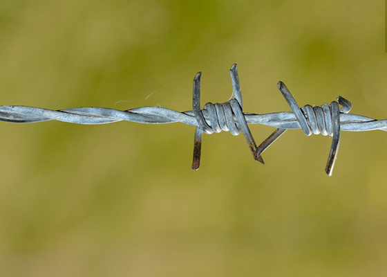 Wykorzystanie ścian więziennych Węzły z podwójnym skręconym PVC powlekanym / galwanizowanym drutem kolczastym