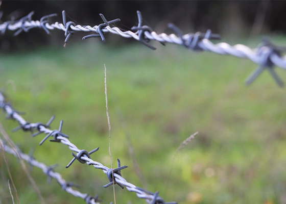Wykorzystanie ścian więziennych Dwukrotne pręty odwrotnie skręcone drut kolczasty ze stali nierdzewnej