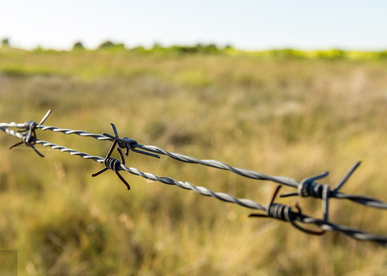 Wykorzystanie ścian więziennych 12,5 gauge Double Twisted Galvanized Barbed Wire