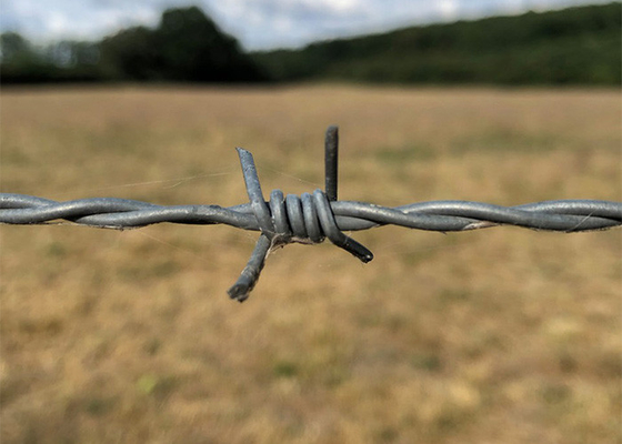 Ogród przeciwkradzieży podwójnie skręcone gorąco zanurzone galwanizowane cewki z drutu kolczastego