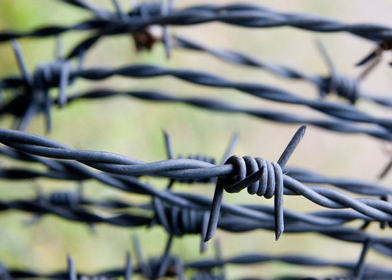 Gorąco zanurzony galwanizowany drut kolczasty bezpieczeństwa Drut o dużej średnicy do zabezpieczenia granic