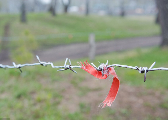 Garden Anti-Theft Single Strand Hot Dipped Galvanized Steel Barbed Wire