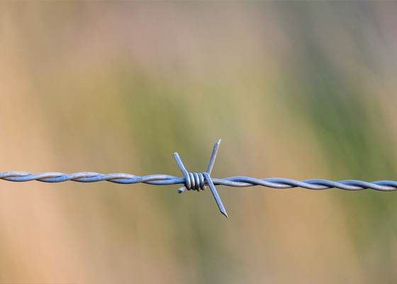 Opieka rolnicza Włókna kolczaste galwanizowane jednowiatowe ciepło zanurzone