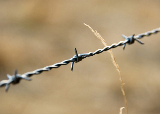 Ochrona gospodarstwa rolnego Wlewy z drutu kolczastego galwanizowane, podwójnie skręcone, podgrzane na gorąco