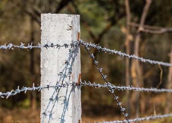 Ochrona gospodarstwa 12.5 gauge Double Twisted Galvanized Barbed Wire