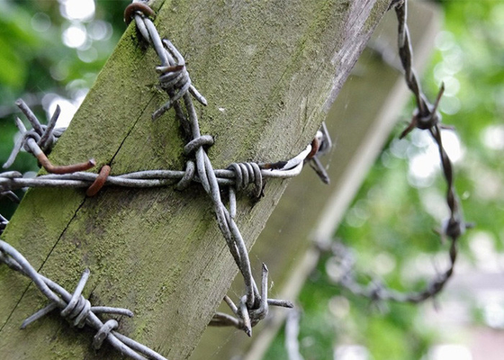 1.8mm Węzły drutu kolczastego z podwójnej pręty zwrotnej