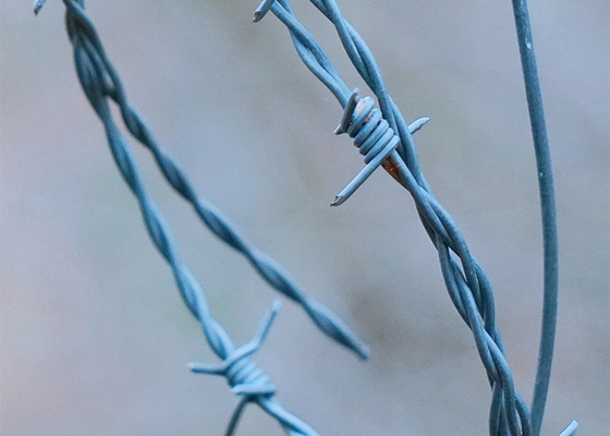 Odporność na korozję 3 lub 4 cali Odległość kolczastą Jednorazowa nici PVC powlekany żelazny drut kolczasty