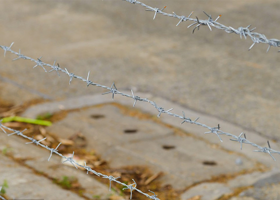 Odporność na korozję Wlewy z drutu kolczastego galwanizowane, podwójnie skręcone, podgrzane na gorąco