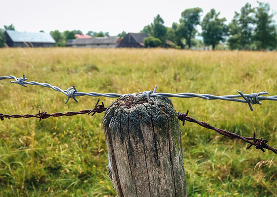 Odporność na korozję 3 lub 4 cali odległość od barb Galwanizowany drut kolczasty rolka