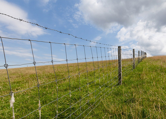 Odporność na korozję 14 gauge Double Strand Tradycyjne Twist Galvanized Barbed Wire Coils