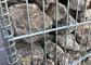 50 x 100mm Galionowany, spawany, siatkowy gabion / ściana ze spiekanego kamienia