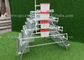 Wysoka produkcja jaj Hdg A Frame Layer Cages Automatyczny system do komercyjnej hodowli drobiu