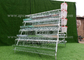 System automatyczny 96 Klatki dla drobiu Sprzęt rolniczy do układania jajek