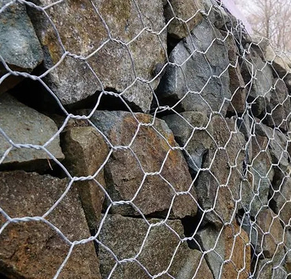 Shuxin Gorąco Galwanizowany 60 * 80mm Otwór 2,7 mm Wire Mesh Gabion Koszyk do kontroli powodzi