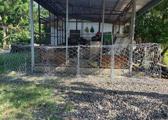 4x1x1m 3,05mm Wire Gabion Basket dla zapór i budowy fundamentów z cylindrycznymi strukturami metalowymi