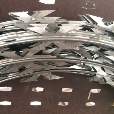 Galwanizowana cena konkurencyjna Żelaza z żelazem Concertina Ogrodzenie ochronne kolczaste