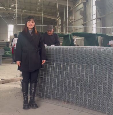 SX10 Piaszczyste bariery obronne HESCO z geotekstilami