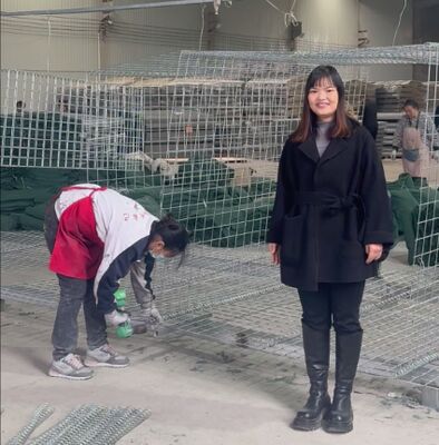 Mil 1 Armia Obronna bariera Ochrona ściany Galwanizowane pokryte Geotextile HESCO bariera cena